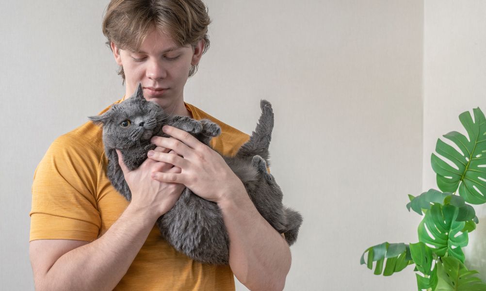 A Complete Guide to Pet-Friendly Homes in Agnes Water